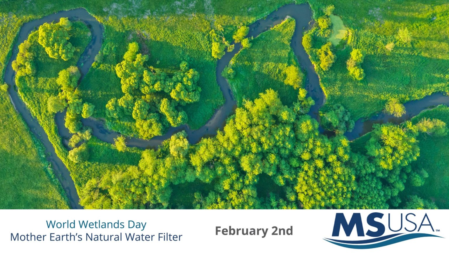 World Wetlands Day, February 2 - Mitigation Solutions USA, LLC - MSUSA