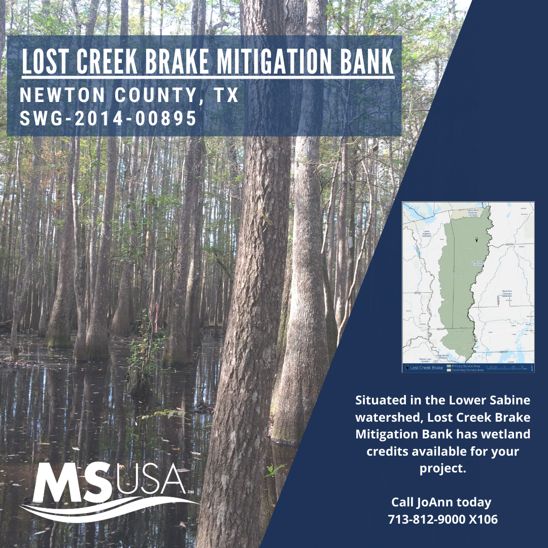 Lost Creek Brake