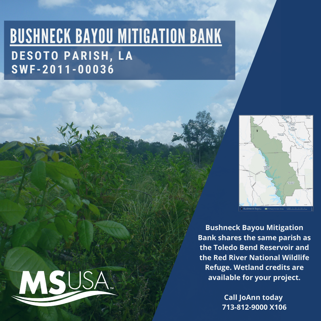 Bank Highlight: Bushneck Bayou