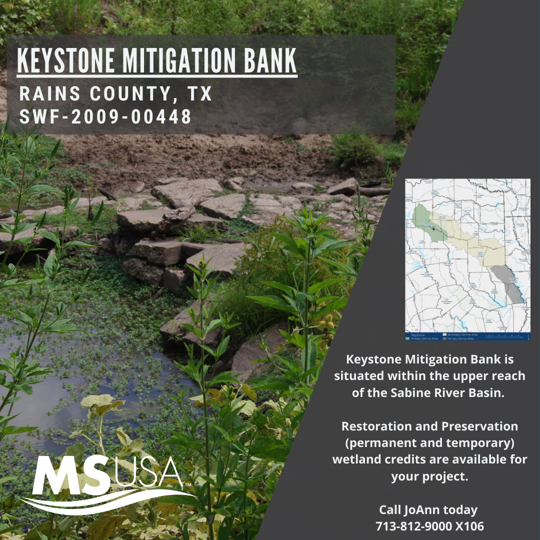 Bank Highlight: Keystone