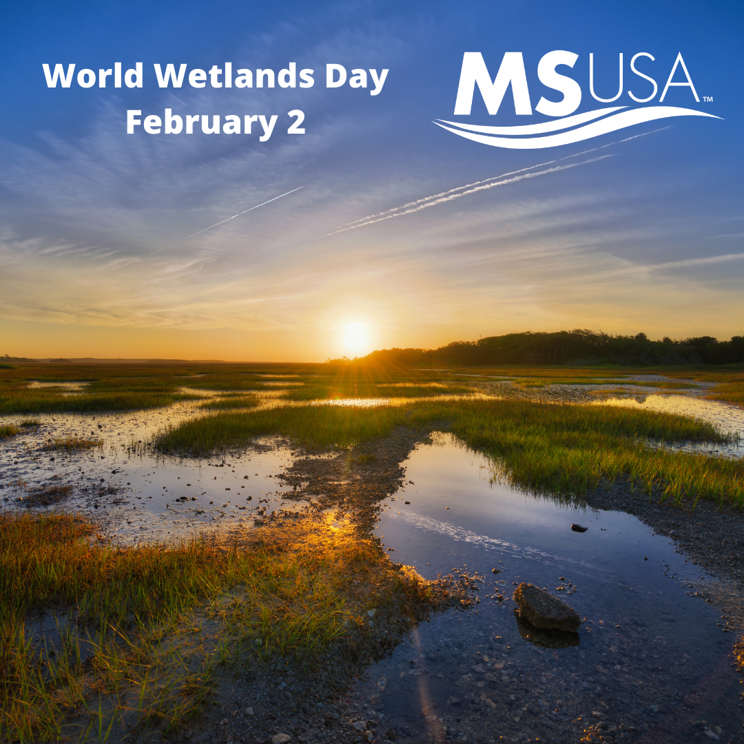 World Wetlands Day – February 2