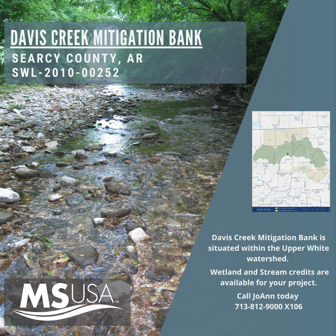 Bank Highlight: Davis Creek