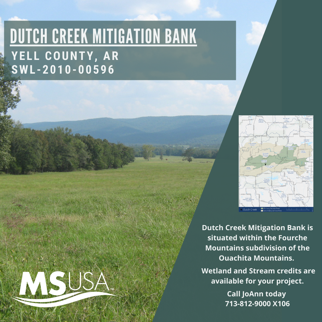 Bank Highlight: Dutch Creek