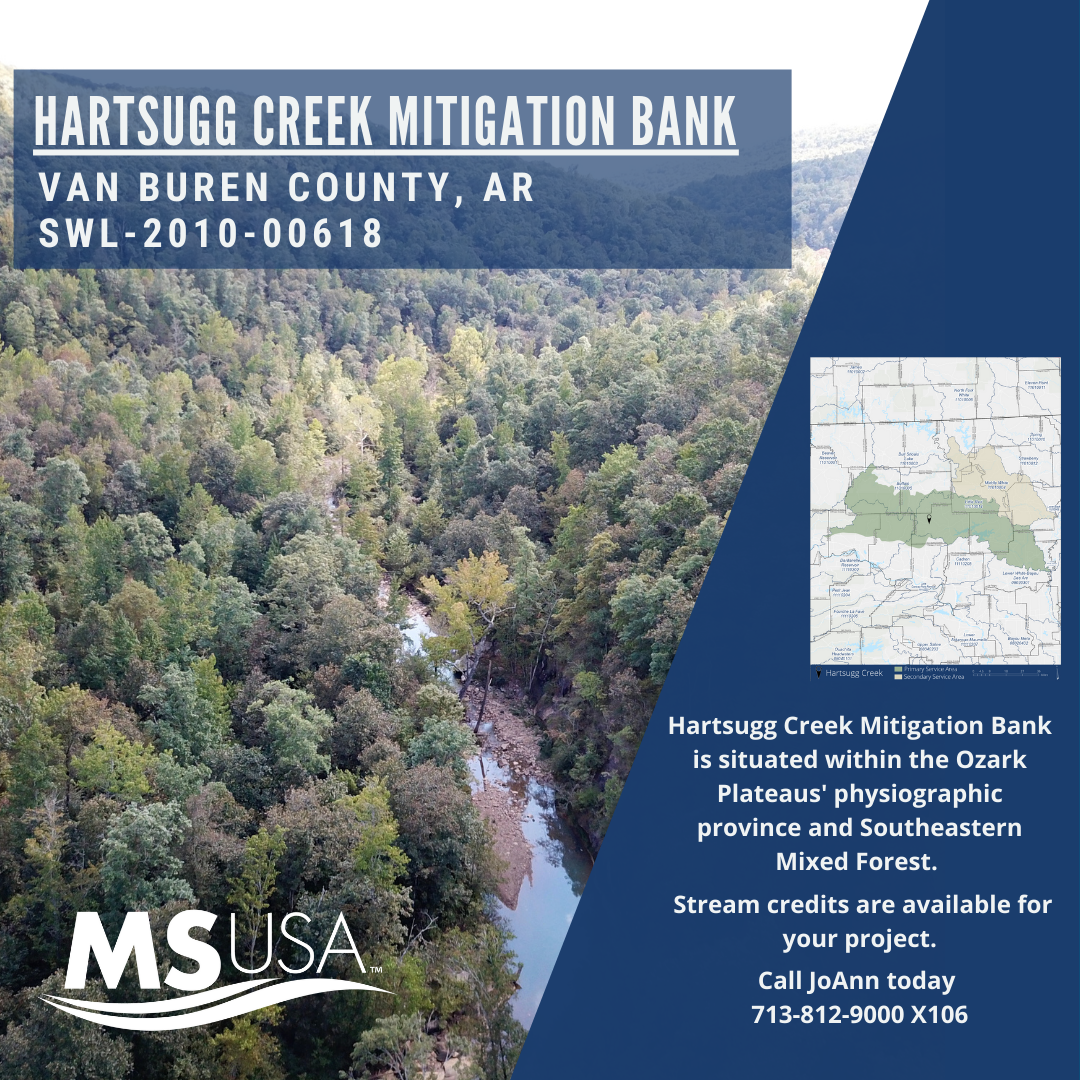 Bank Highlight: Hartsugg Creek