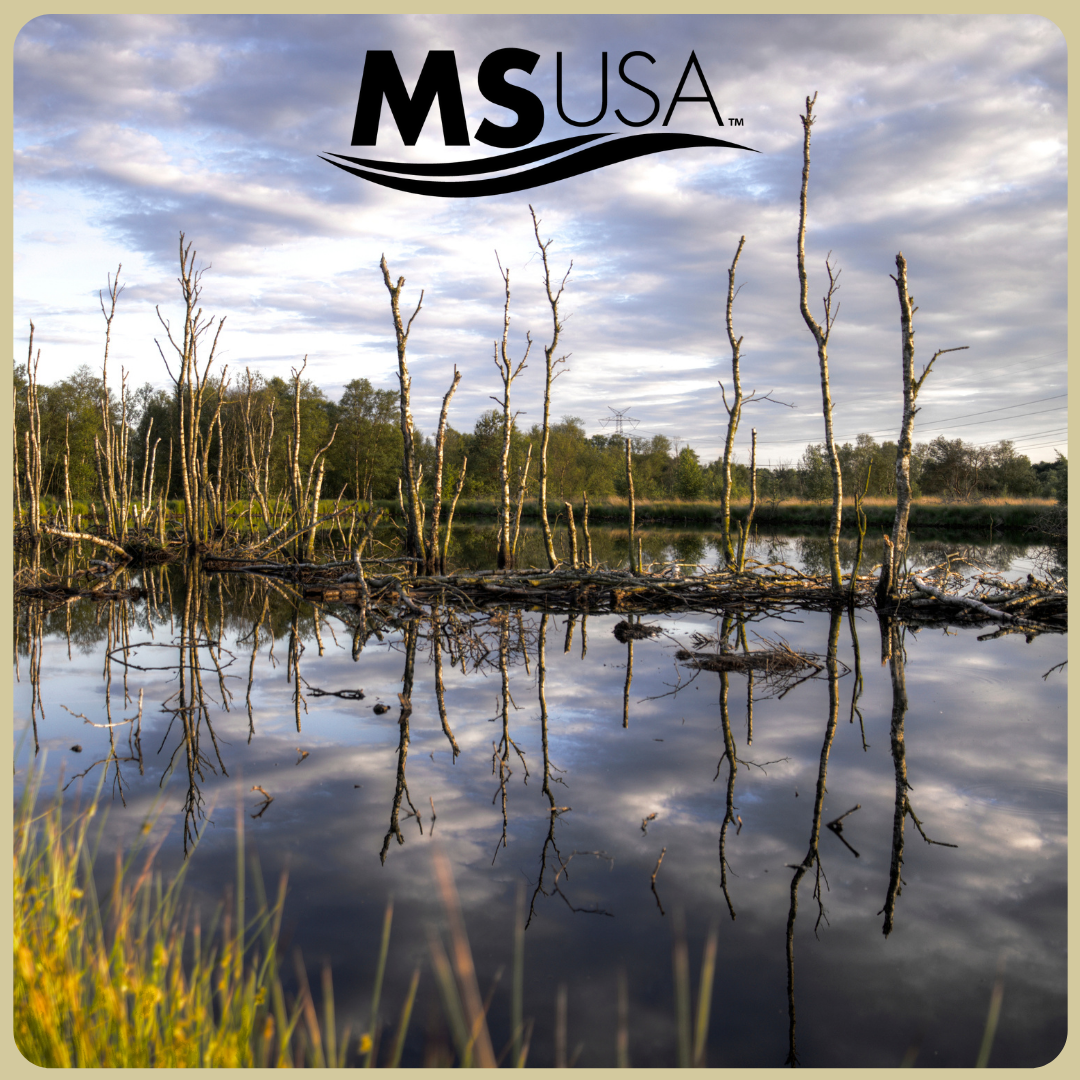 May is American Wetlands Month…