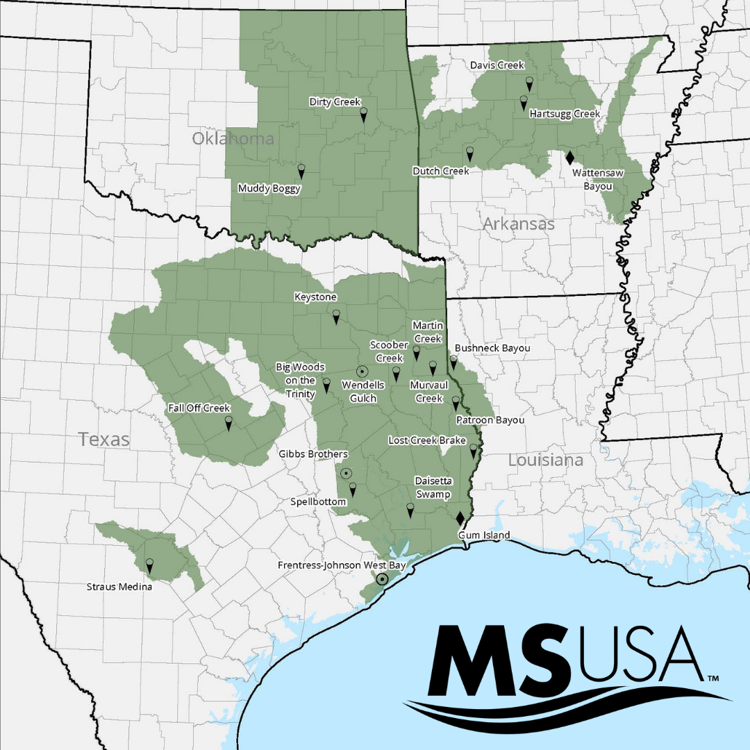 MSUSA has you covered.