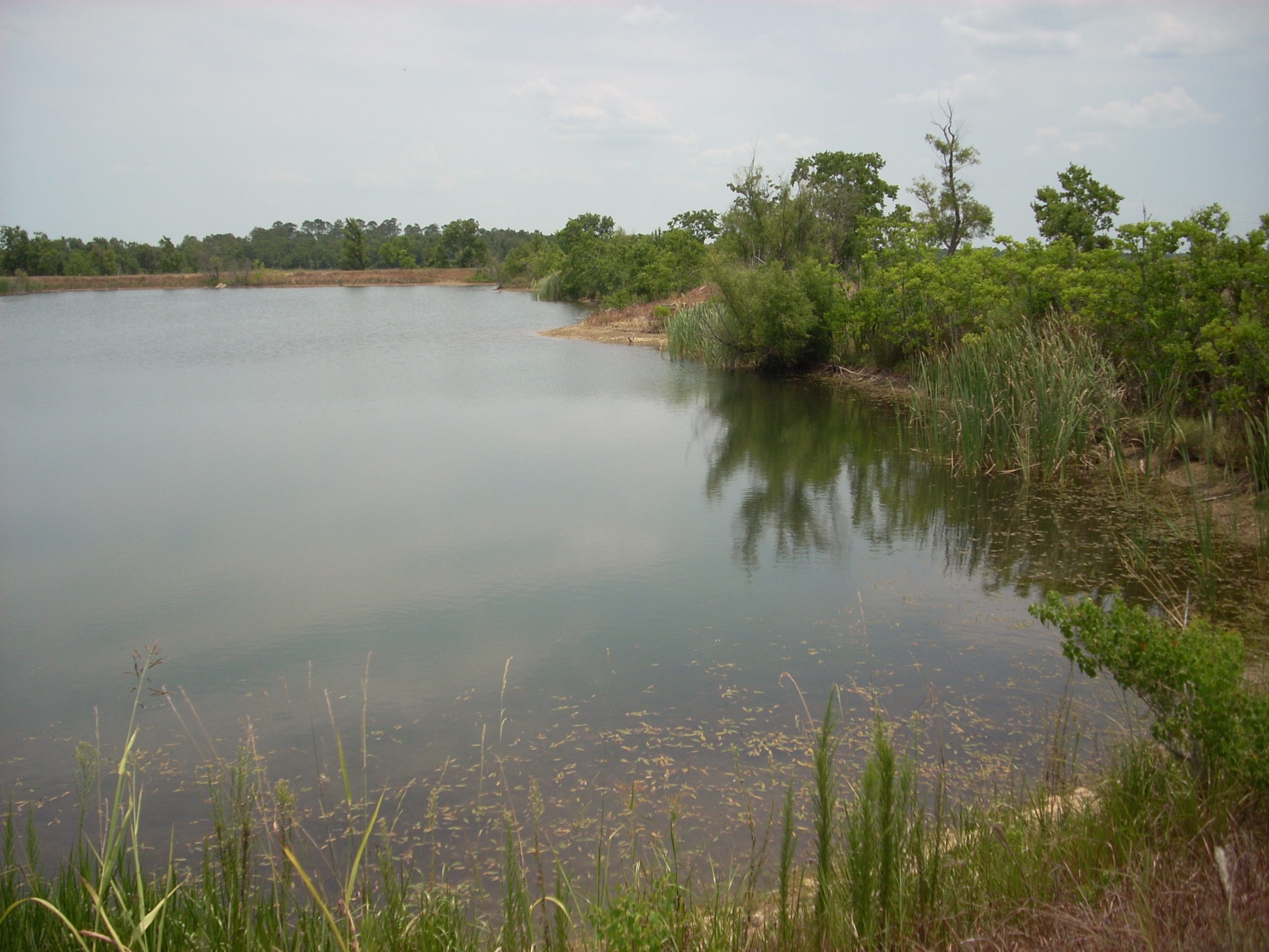 How is a site selected for the creation of a mitigation bank?