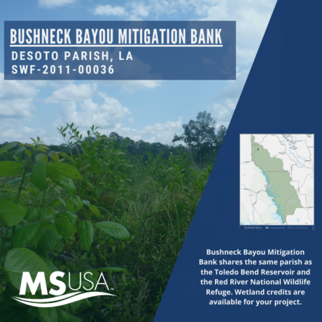 Bushneck Bayou Mitigation Bank