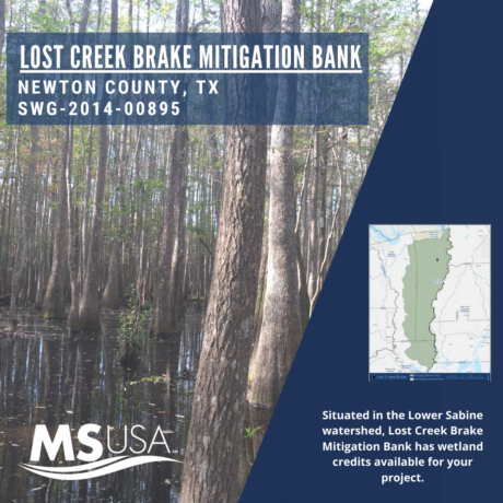Lost Creek Brake