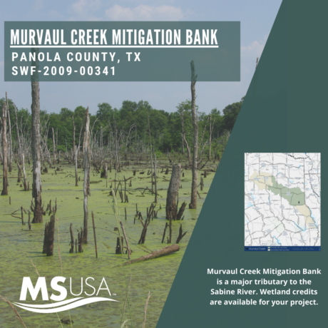 Murvaul Creek Mitigation Bank
