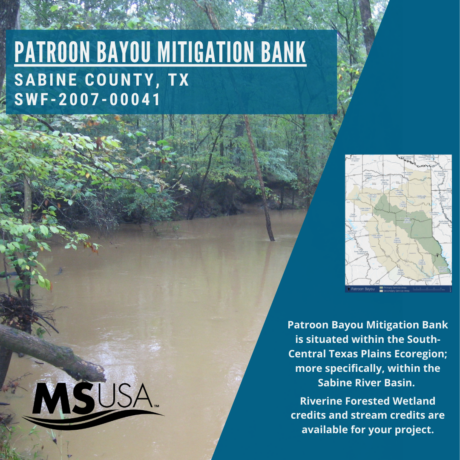 Patroon Bayou Mitigation Bank