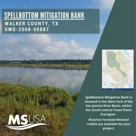 Spellbottom Mitigation Bank